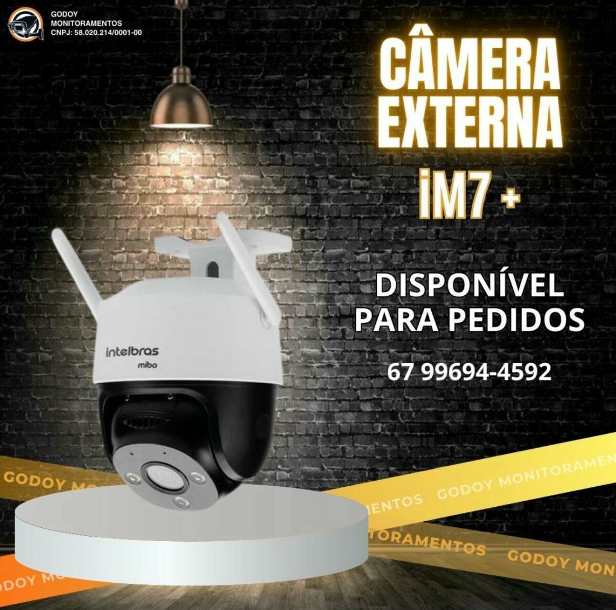 Imagem da Galeria